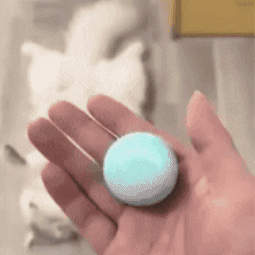 Vista 3 de PELOTA INTELIGENTE PARA GATOS CON USB C